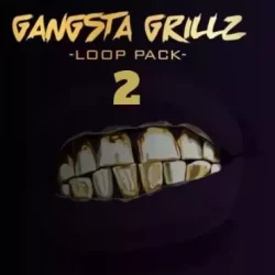 Big Citi Loops Gangsta Grillz 2 Kit Version WAV
