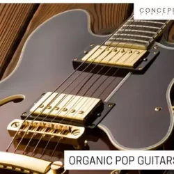 Concept Samples Organic Pop Guitars WAV