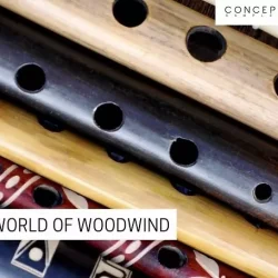 Concept Samples World Of Woodwind WAV