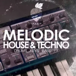 Dirty Music Melodic House & Techno WAV