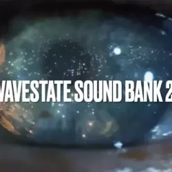 Marco Mayer Korg Wavestate Sound Bank 2