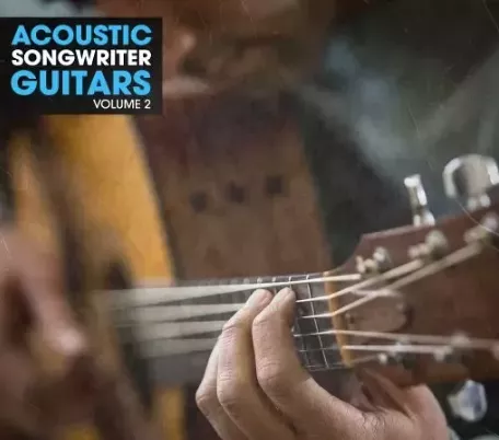 New Beard Media Acoustic Songwriter Guitars Vol_2 WAV