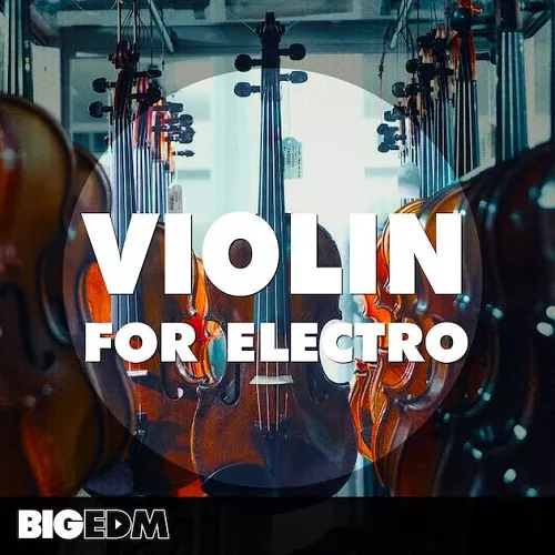 Big EDM Violin For Electro WAV