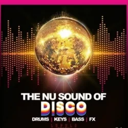 Dirty Music The Nu Sound Of Disco WAV
