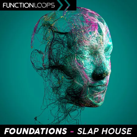 Function Loops Foundations Slap House WAV