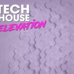 New Beard Media Tech House Elevation WAV