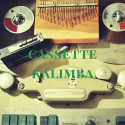 PastToFutureReverbs Cassette Kalimba [KONTAKT & WAV]