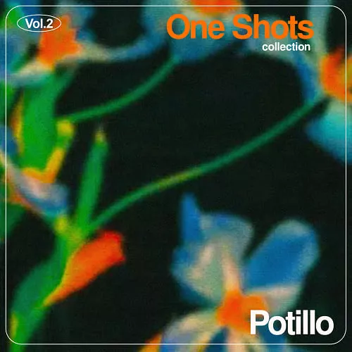 Potillo One Shot Collection Vol.2 WAV