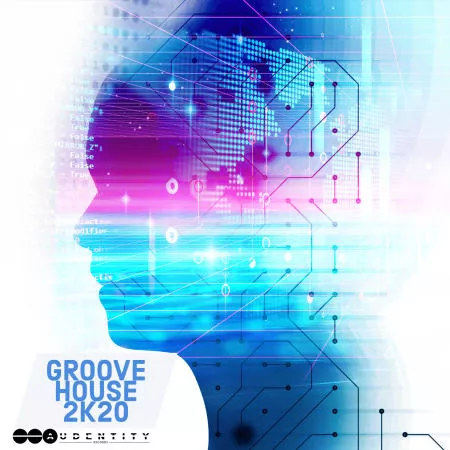 Audentity Records Groove House 2K20 WAV