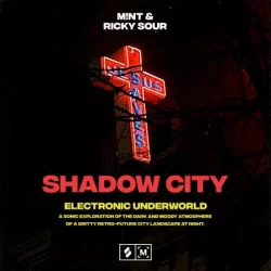 Montage Shadow City: Electronic Underworld WAV