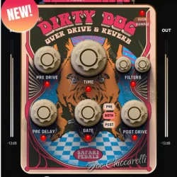 Safari Pedals Dirty Dog Reverb v1.2.31 [WIN]