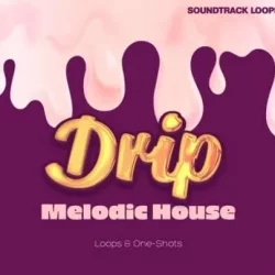 Soundtrack Loops Drip Melodic House WAV
