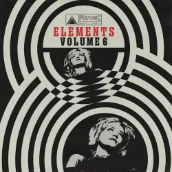 Polyphonic Music Library The Polyphonic Elements Vol_6 WAV
