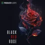 Producer Loops Black Red Rose [WAV MIDI]