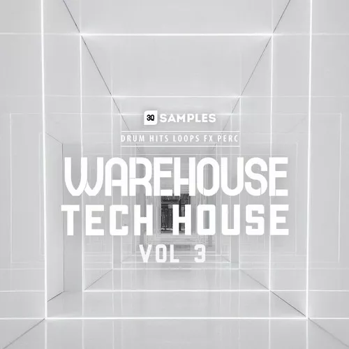 3q Samples Warehouse Tech House Vol.3 WAV