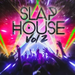2Deep Beats Slap House Vol 2 WAV MIDI