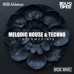 Basic Wavez (Intermediate) Write 2 Melodic House & Techno Tracks with Bound to Divide TUTORIAL