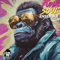 Vanilla Groove Studios Funk Soul Ensemble Vol.1 WAV