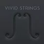 Pulse Audio Vivid Strings - Violins 2 KONTAKT