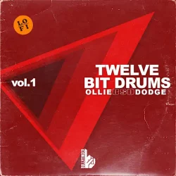 Bullyfinger 12-Bit Drums Volume 1 WAV