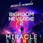 Miracle Sounds Bigroom Neverdie 2 WAV MIDI FXP