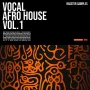 Rasster Samples Vocal Afro House Vol.1 WAV