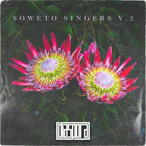 Diaspora Soweto Singers Vol.2 WAV