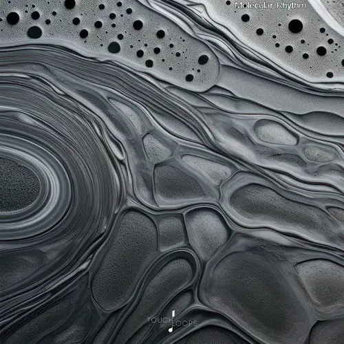 Touch Loops Molecular Rhythms WAV