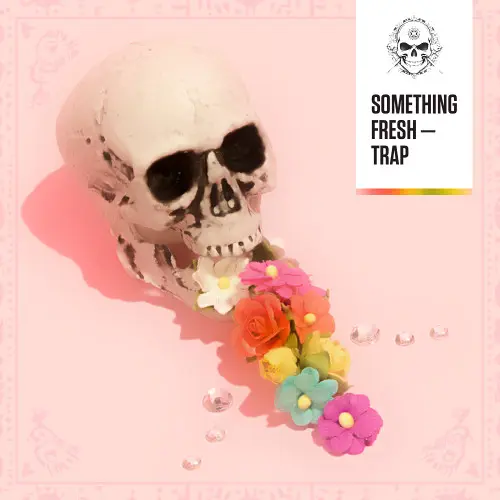 Diginoiz Something Fresh - Trap WAV
